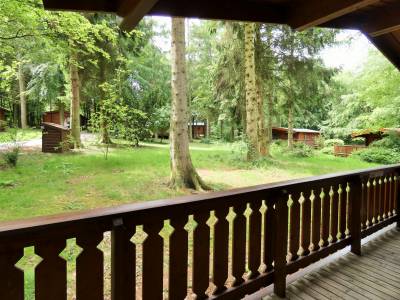 Verandah with Views of the Mature Woodland Site