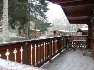 Winter Wonderland