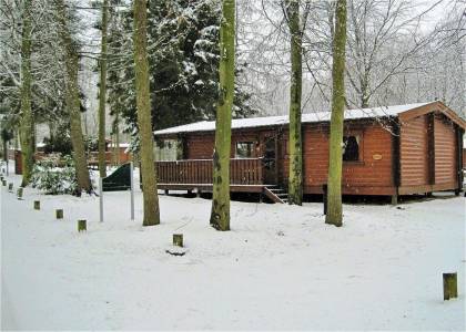Winter Wonderland